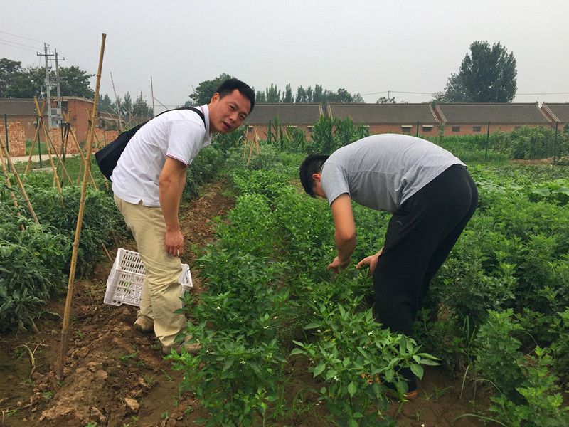 好利來郭總喊您來摘菜啦！綠色無公害，放心！